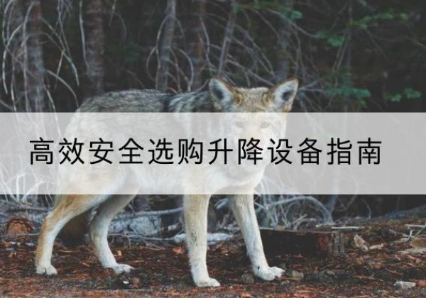 富县升降货梯厂家推荐-*安全选购升降设备指南