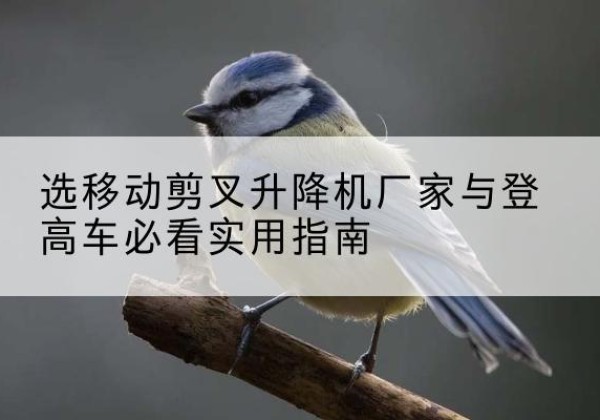 富县电动升降机厂家-选移动剪叉升降机厂家与登高车必看实用指南