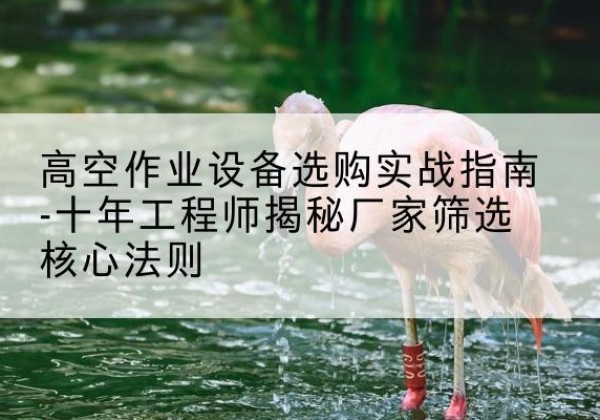 富县剪叉式升降机厂家-高空作业设备选购实战指南-十年工程师揭秘厂家筛选核心法则